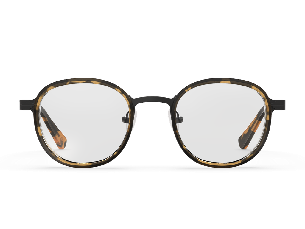 Piche Yellow Tortoise