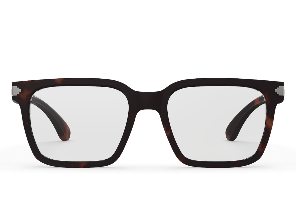 Lagarto Havana Brown