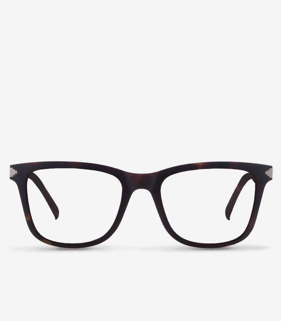 Zorro Havana Brown Non Polarized