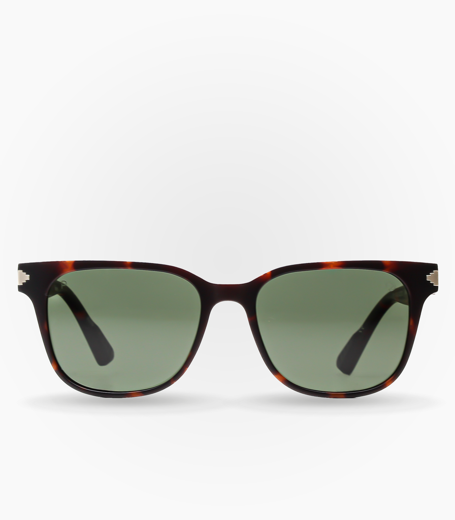 Fario Havana Brown Polarized