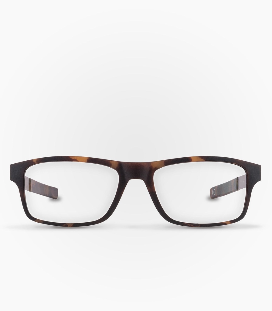 Hornopirén Havana Brown