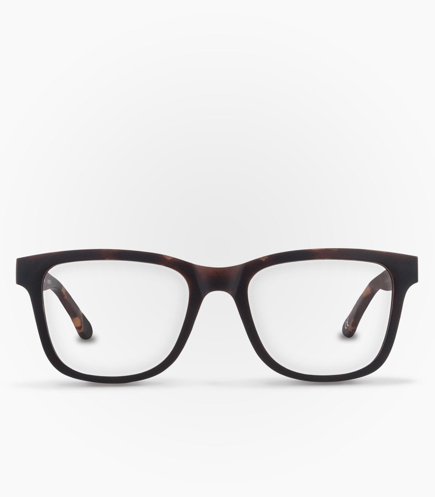 Puyehue Havana Brown