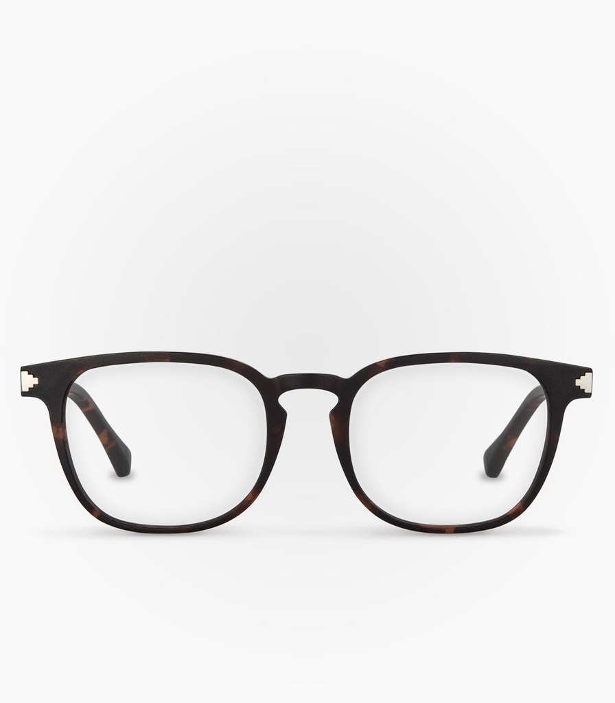 Ranita de Darwin Havana Brown