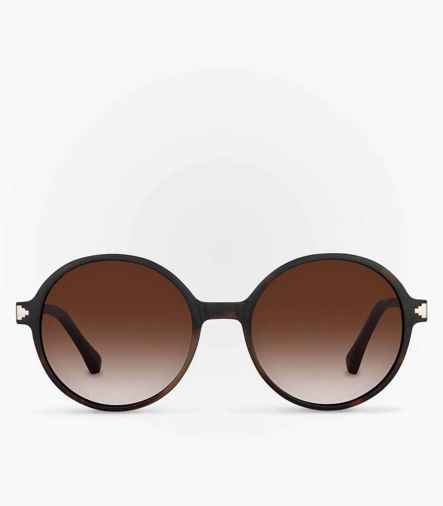 Cloud Havana Brown Polarized