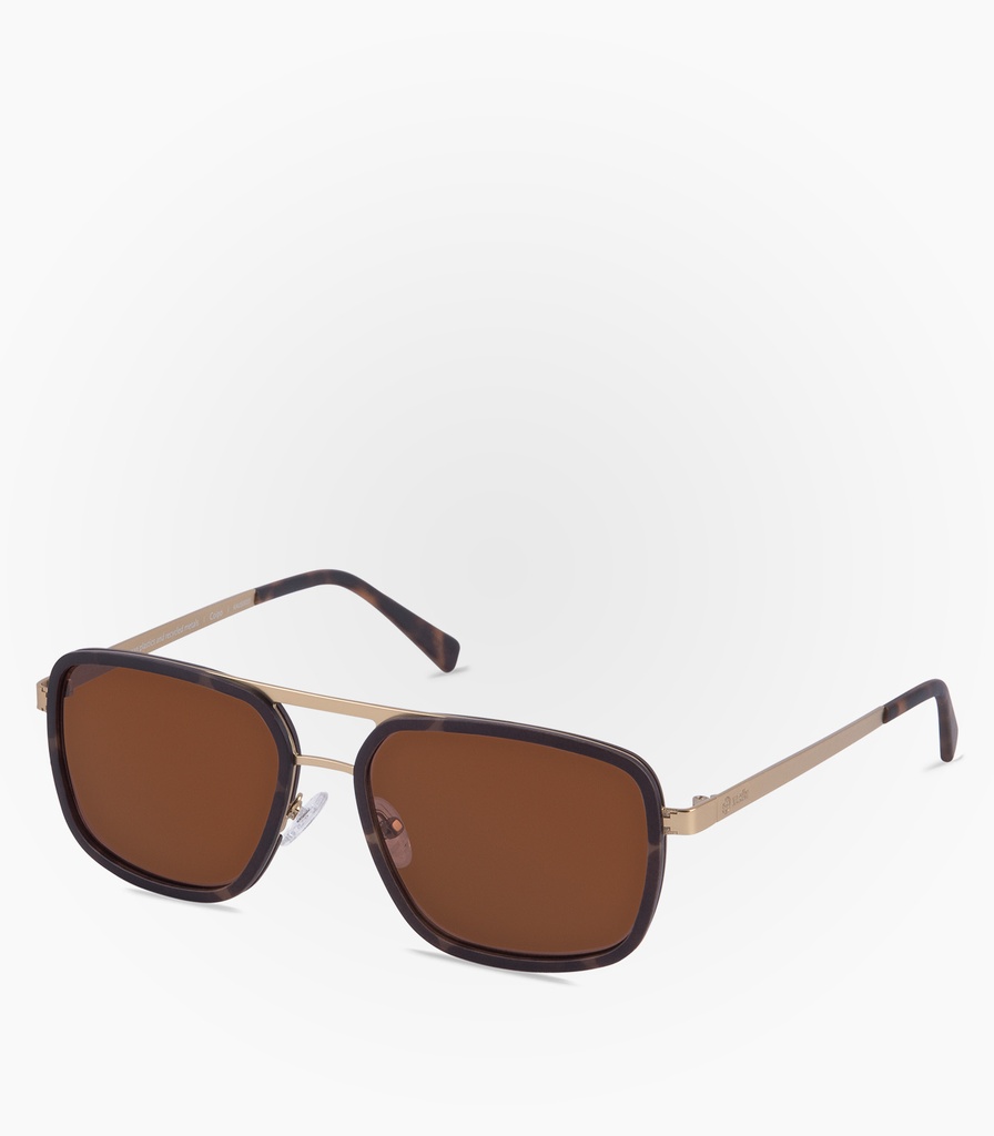 (S) Coipo Havana Tortoise Lens Color Brown