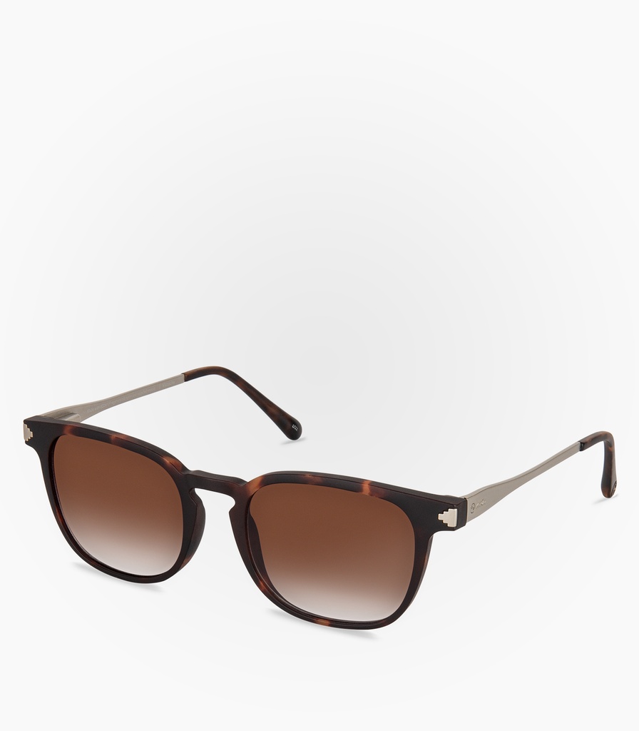 (S) Vizcacha Havana Tortoise Non Polarized Lens Color Brown   
