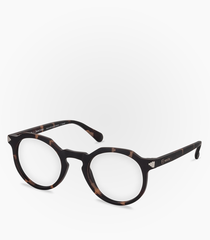 (F) Current Havana Tortoise Polycarbonate       
