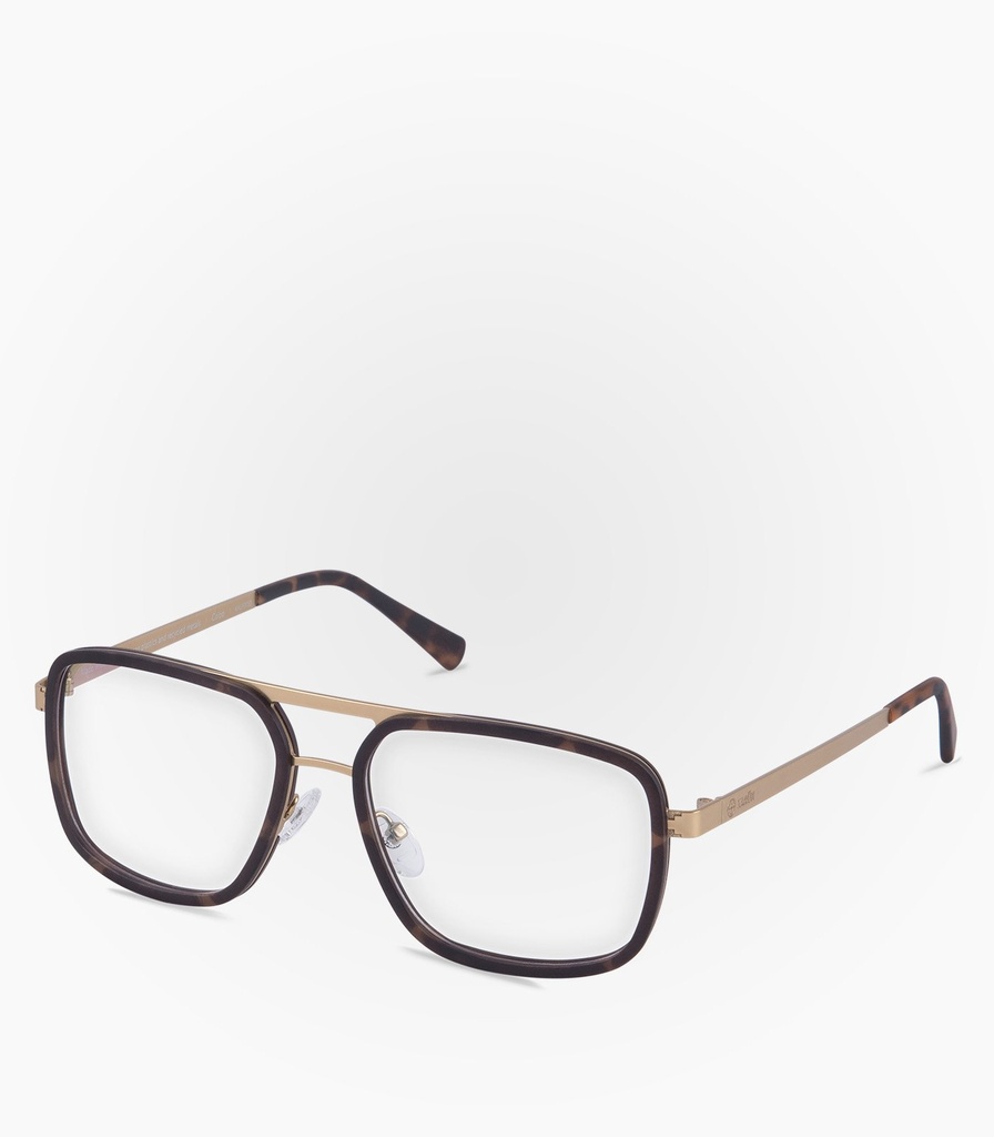 (F) Coipo Havana Tortoise        