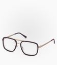 (F) Coipo Havana Tortoise        