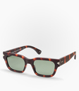 Cisne Havana Brown Polarized
