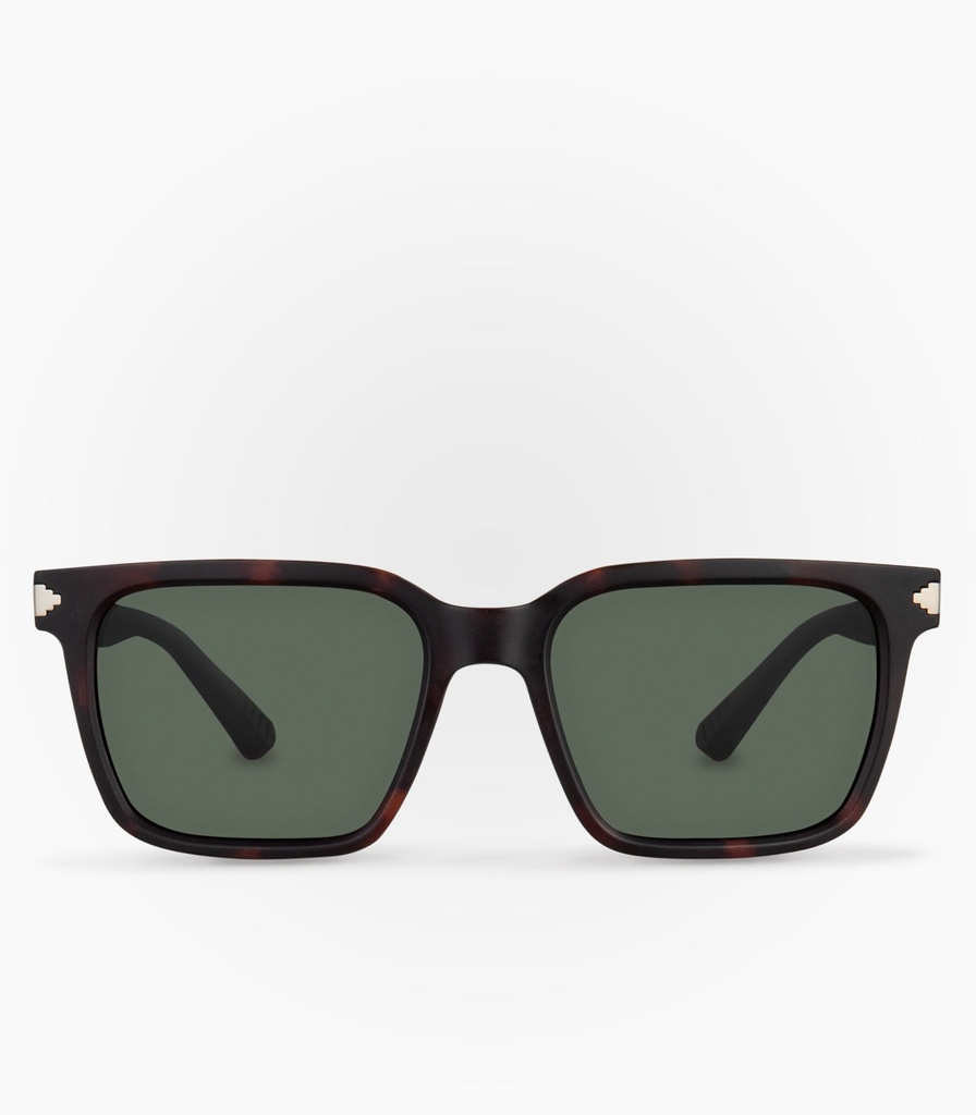 Lagarto Havana Brown