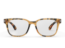 Fario Havana Yellow