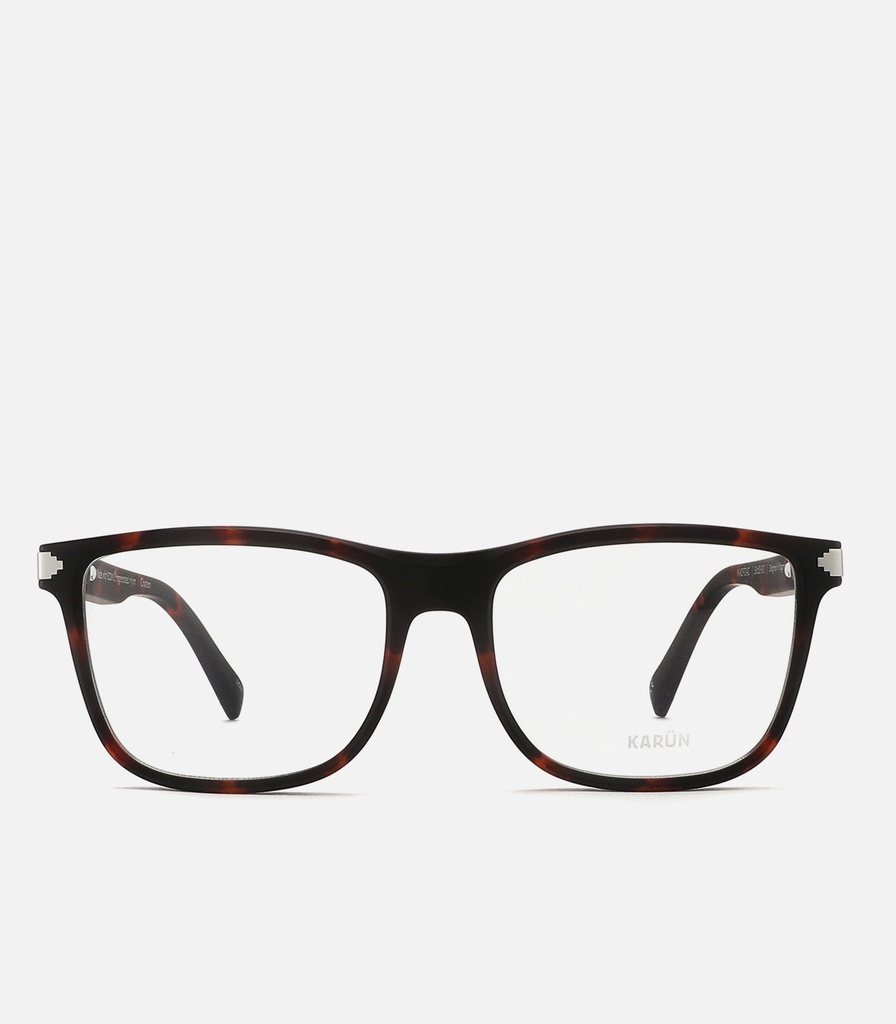 Chaiten Havana Brown