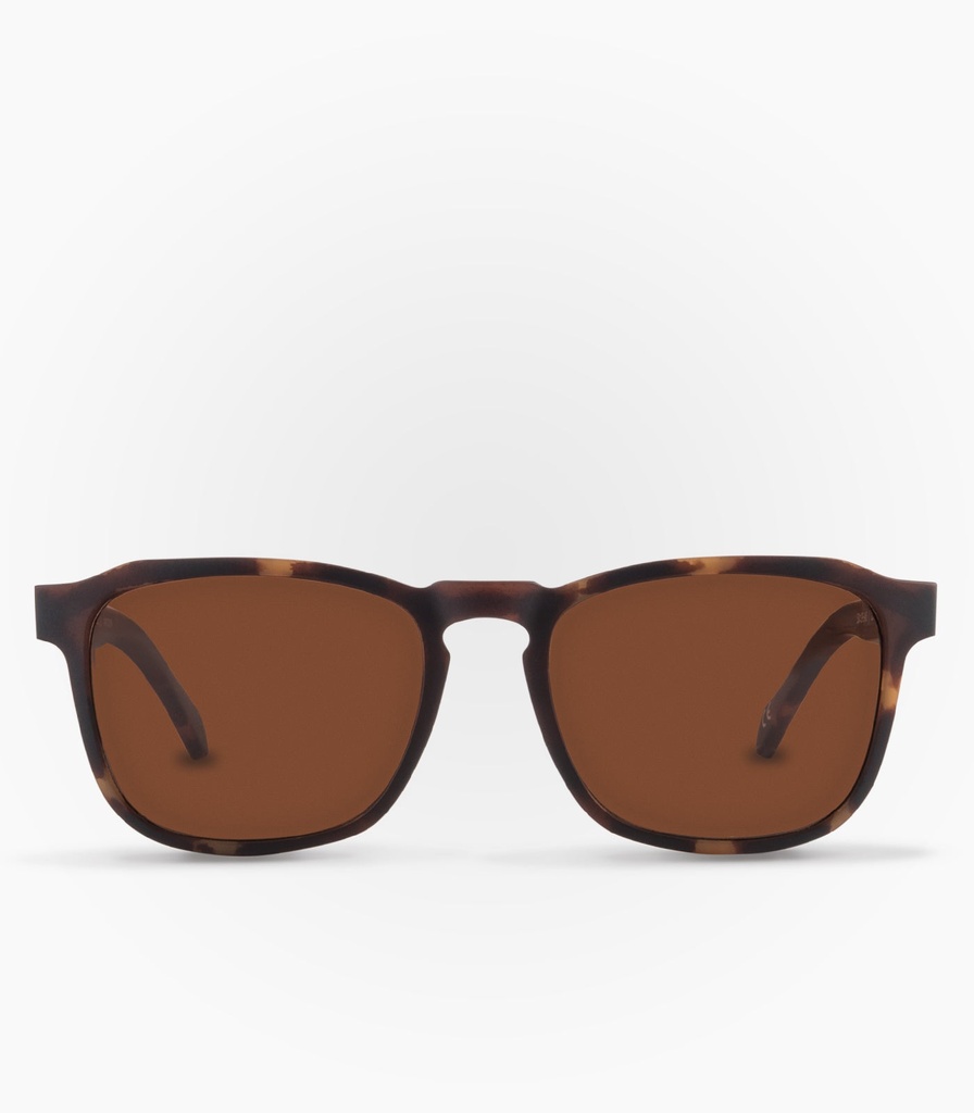 Calbuco Havana Brown Non Polarized