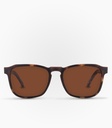 Calbuco Havana Brown Non Polarized