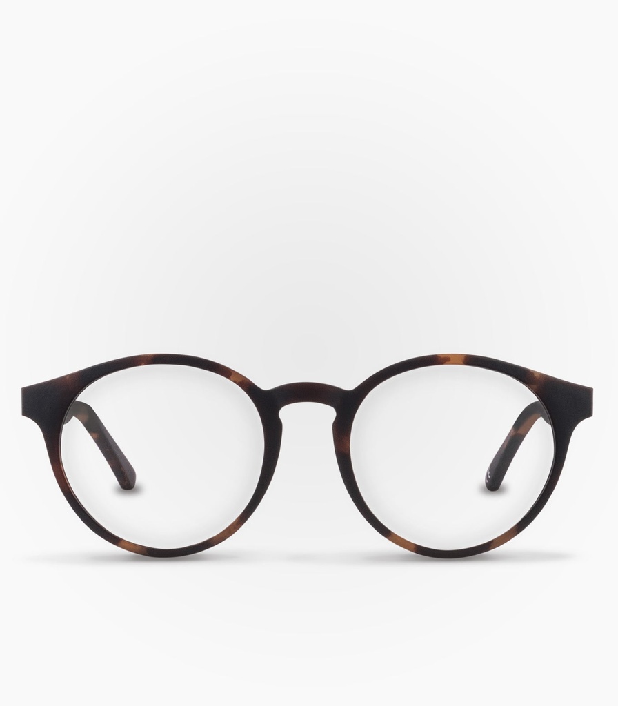 Chiloé Havana Brown