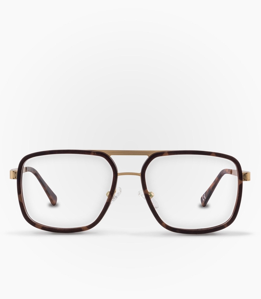 Coipo Havana Brown