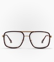 Coipo Havana Brown