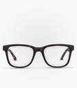Puyehue Havana Brown