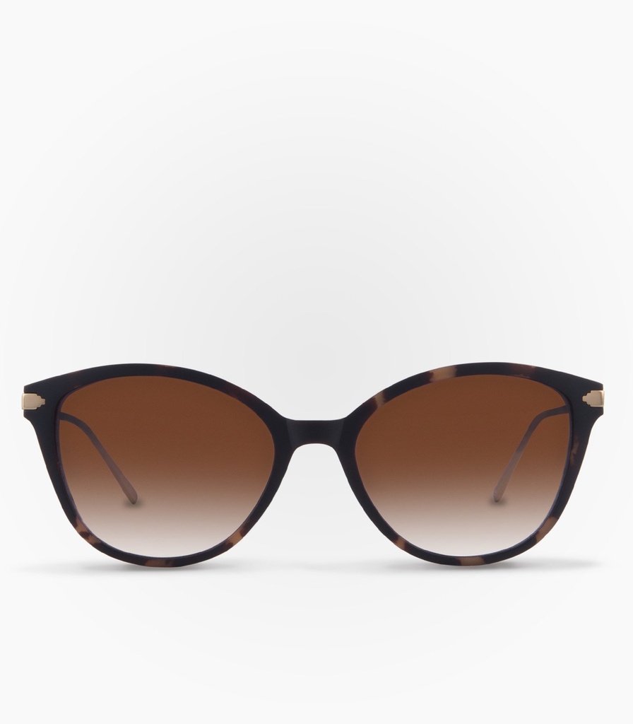 Puma Havana Brown