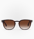 Breeze Havana Brown Non Polarized