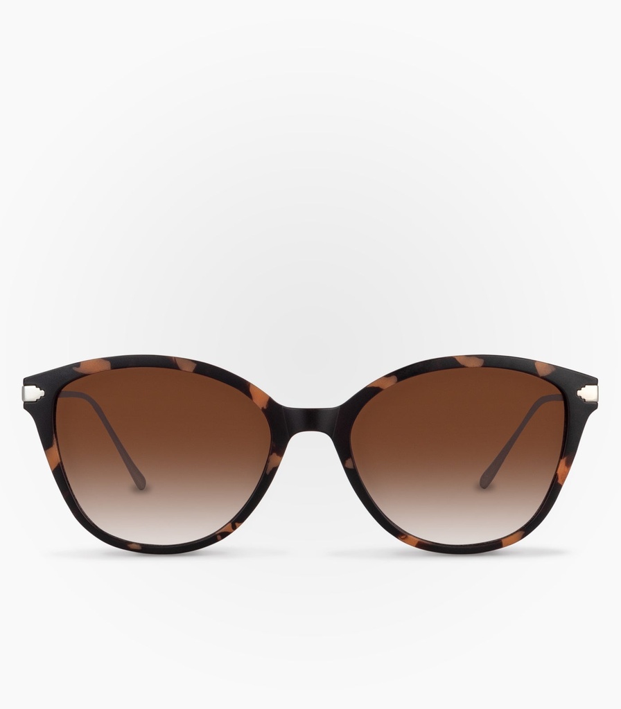 Hail Havana Brown Non Polarized