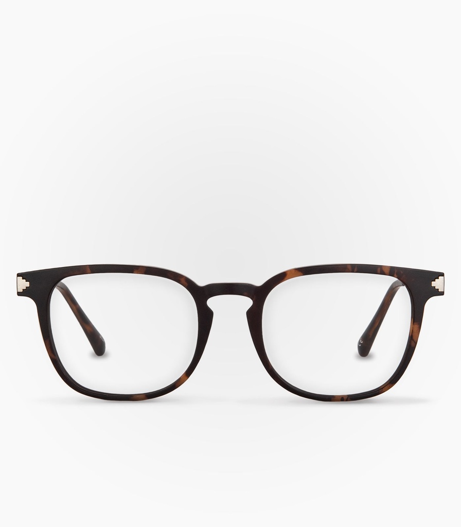 Vizcacha Havana Brown