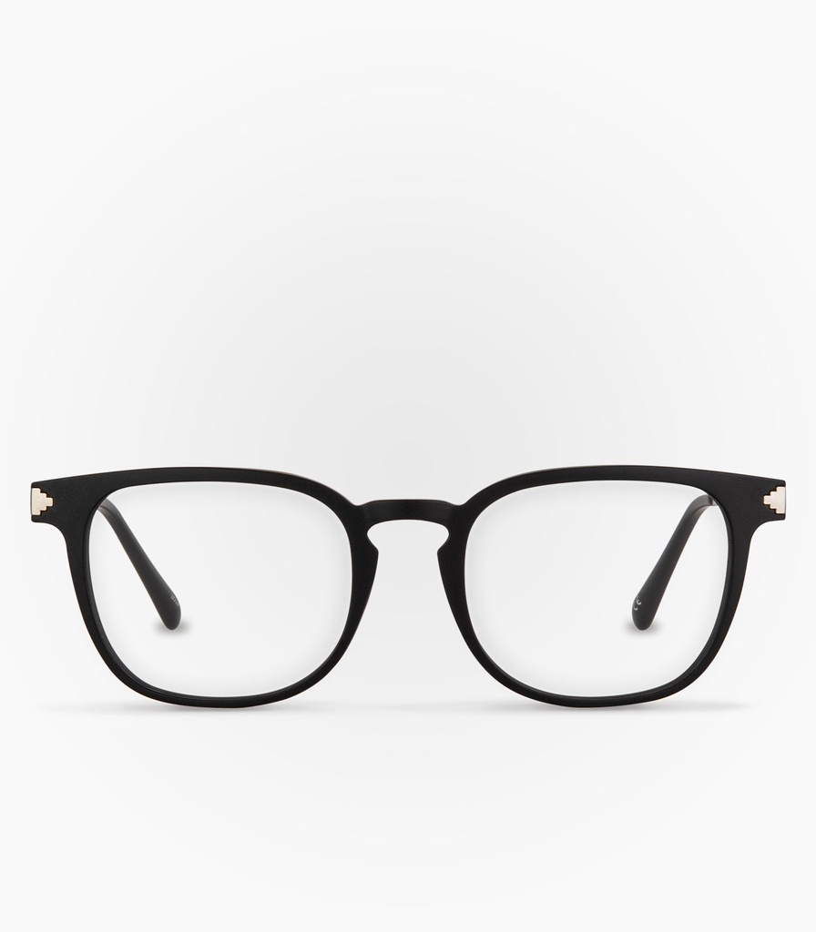 Vizcacha Black