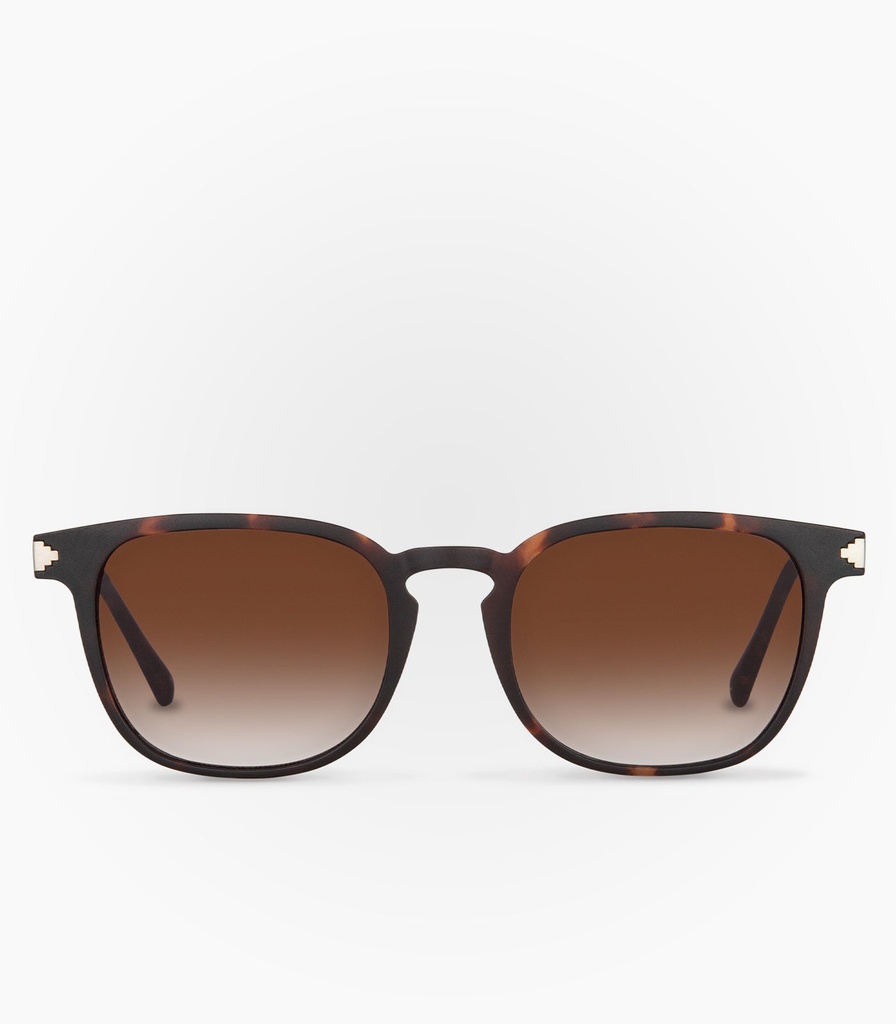 Vizcacha Havana Brown Non Polarized