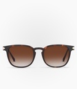 Vizcacha Havana Brown Non Polarized