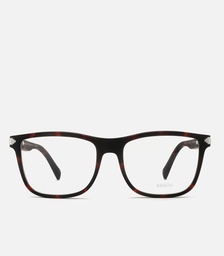 [KAOF0142] Chaiten Havana Brown
