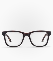 [KAOF0072] Puyehue Havana Brown