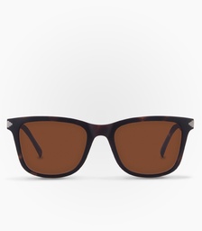 Zorro Havana Brown